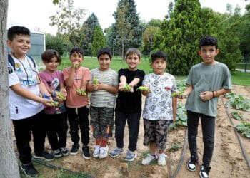 Fotoğraf: Karatay Belediyesi