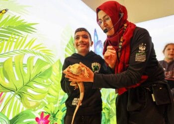 Konya Tropikal Kelebek Bahçesi’nde ilgi odağı: Sakallı ejder