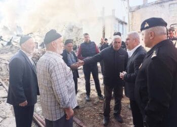 Akın ve Altay, Doğanbey’de çıkan yangın sonrası bölgeyi ziyaret etti
