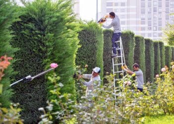 Meram Belediyesi park ve bahçelerin bakım çalışmalarına ağırlık verdi