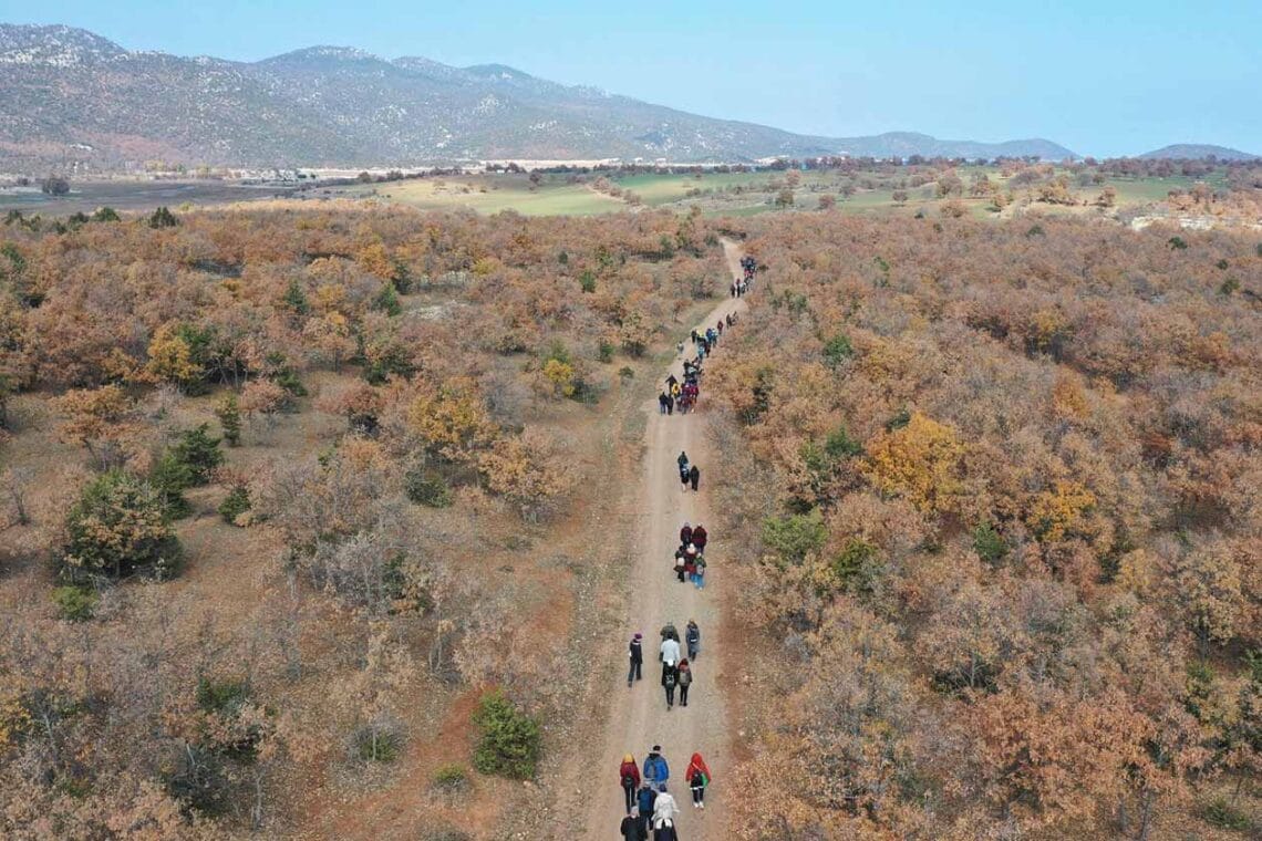 Fotoğraf: Konya Büyükşehir Belediyesi