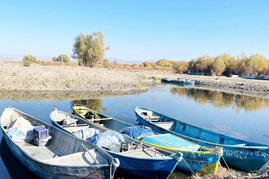 Fotoğraf: İhlas Haber Ajansı (İHA)