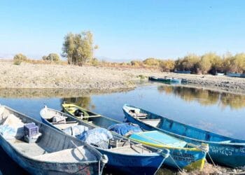 Fotoğraf: İhlas Haber Ajansı (İHA)