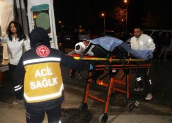 Fotoğraf: İhlas Haber Ajansı (İHA)