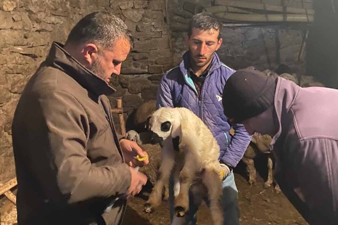 Fotoğraf: İhlas Haber Ajansı (İHA)