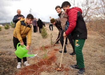 Fotoğraf: İhlas Haber Ajansı (İHA)
