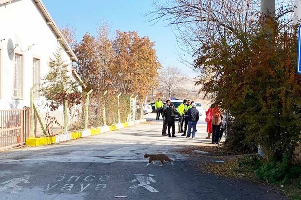 Fotoğraf: İhlas Haber Ajansı (İHA)