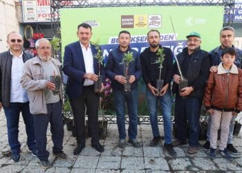 Konya’da az su çok ürün dönemi: Antep Fıstığı yetiştirilecek