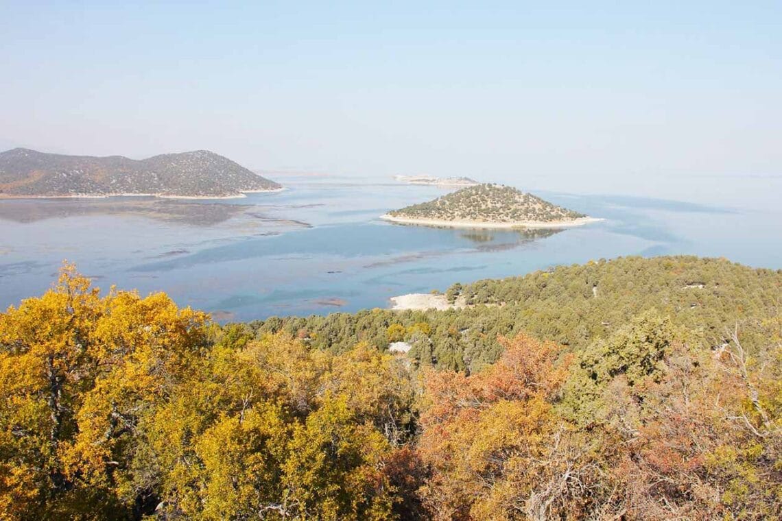 Fotoğraf: İhlas Haber Ajansı (İHA)