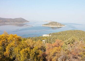 Fotoğraf: İhlas Haber Ajansı (İHA)
