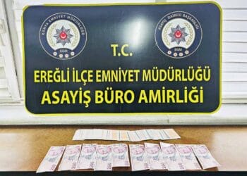 Fotoğraf: İhlas Haber Ajansı (İHA)