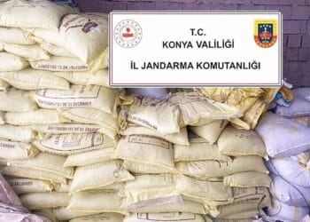 Fotoğraf: İhlas Haber Ajansı (İHA)