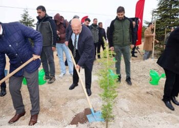 Konya’da Gazze’de katledilen gazeteciler için fidan dikildi