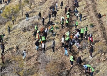 NEÜ Öğrencileri onlarca fidanı toprakla buluşturdu