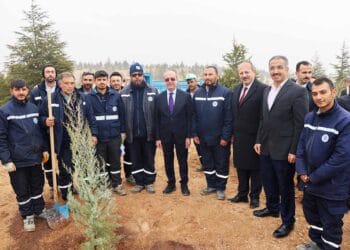 Sille’de yüzlerce fidan toprakla buluştu