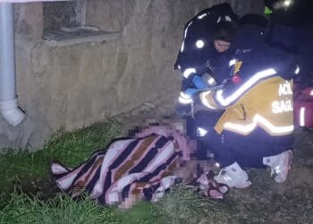 Fotoğraf: İhlas Haber Ajansı (İHA)