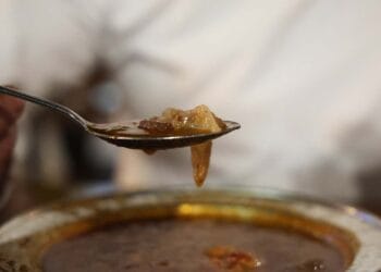 Fotoğraf: İhlas Haber Ajansı (İHA)