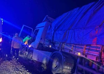 Ereğli’de şarampole inen tırın sürücüsü öldü