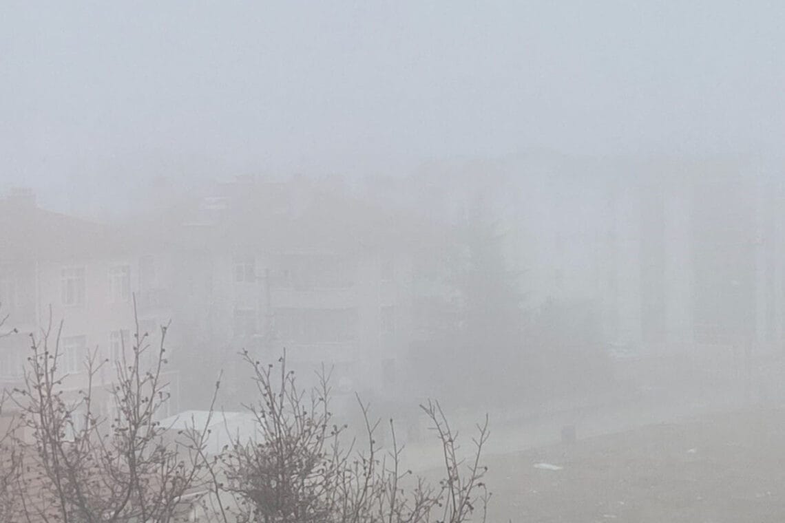 Fotoğraf: İhlas Haber Ajansı (İHA)
