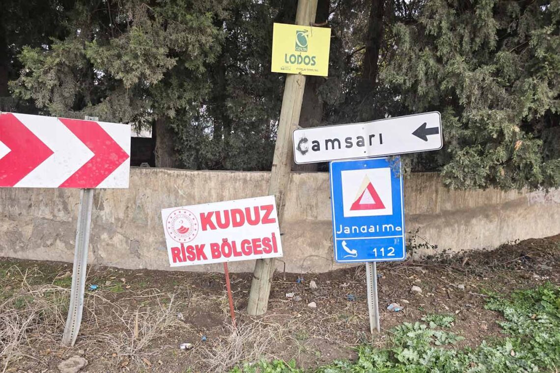 Fotoğraf: İhlas Haber Ajansı (İHA)