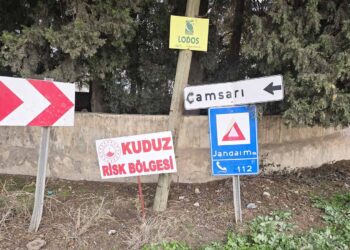 Fotoğraf: İhlas Haber Ajansı (İHA)