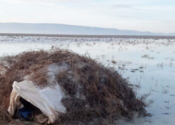 Fotoğraf: İhlas Haber Ajansı (İHA)