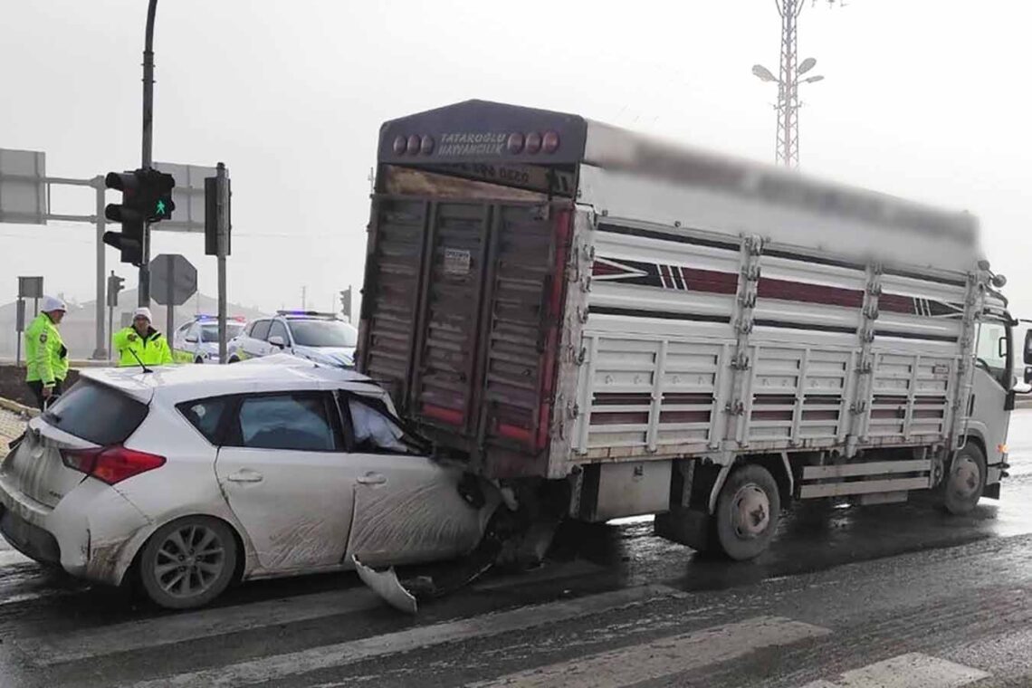 Fotoğraf: İhlas Haber Ajansı (İHA)