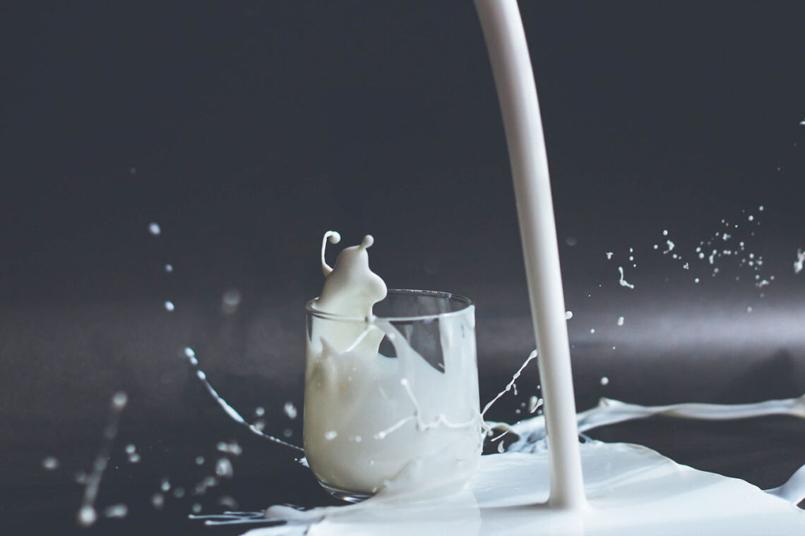 Fotoğraf: Anita Jankovic / Unsplash