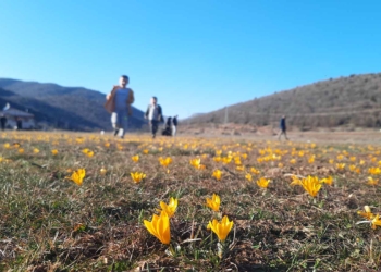 Fotoğraf: İhlas Haber Ajansı (İHA)