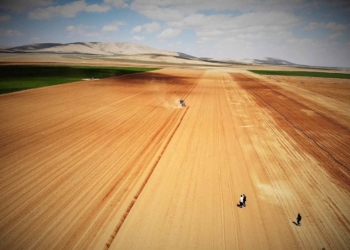Fotoğraf: İhlas Haber Ajansı (İHA)