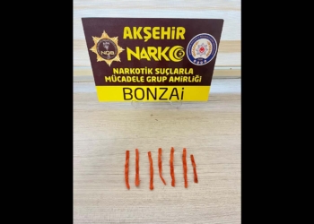 Fotoğraf: İhlas Haber Ajansı (İHA)