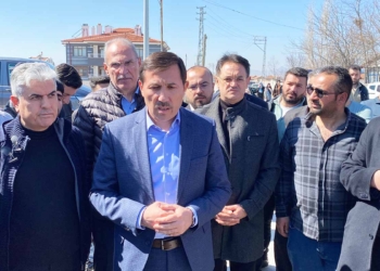 Kılca: 2 bin 500’e yakın köpek topladık