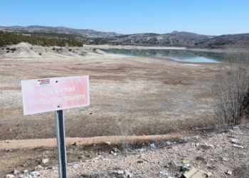 Fotoğraf: İhlas Haber Ajansı (İHA)