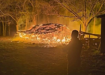 Fotoğraf: İhlas Haber Ajansı (İHA)