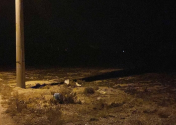 Fotoğraf: İhlas Haber Ajansı (İHA)