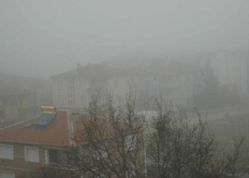 Fotoğraf: İhlas Haber Ajansı (İHA)