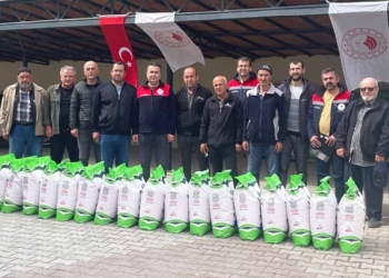 Fotoğraf: İhlas Haber Ajansı (İHA)
