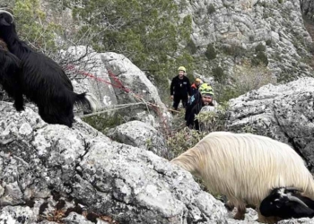 Fotoğraf: İhlas Haber Ajansı (İHA)