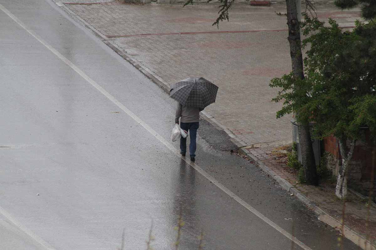 Fotoğraf: İhlas Haber Ajansı (İHA)