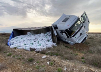 Fotoğraf: İhlas Haber Ajansı (İHA)