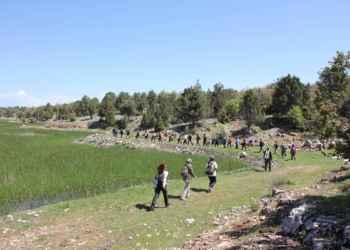 Fotoğraf: İhlas Haber Ajansı (İHA)