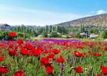 (Fotoğraf: İhlas Haber Ajansı / İHA)