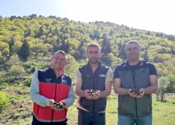 Fotoğraf: İhlas Haber Ajansı (İHA)