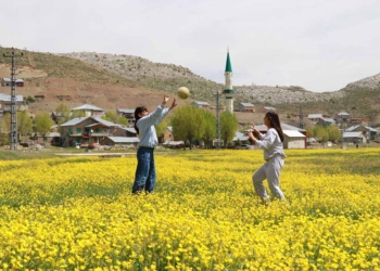 Fotoğraf: İhlas Haber Ajansı (İHA)