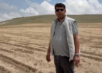 Fotoğraf: İhlas Haber Ajansı (İHA)