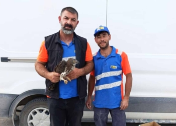 (Fotoğraf: İhlas Haber Ajansı / İHA)