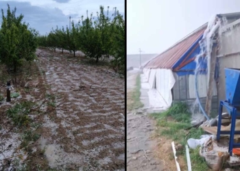 Fotoğraf: İhlas Haber Ajansı (İHA)