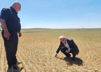 Fotoğraf: İhlas Haber Ajansı (İHA)