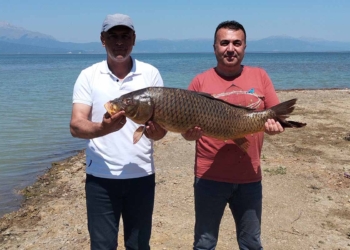 (Fotoğraf: Ali Rıza Önses / İhlas Haber Ajansı / İHA)