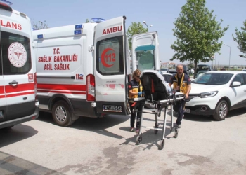 (Fotoğraf: Ali Rıza Önses / İhlas Haber Ajansı / İHA)